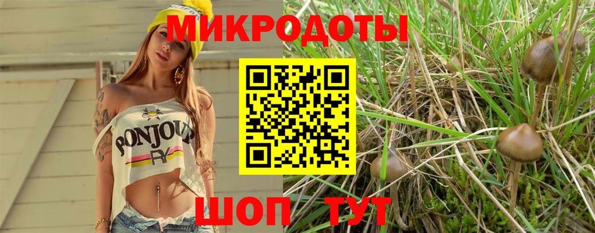 Псилоцибиновые грибы прущие грибы Минеральные Воды