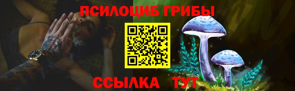 где купить   Псилоцибиновые грибы Psilocybine cubensis  Вход с VPN  Минеральные Воды  Галлюциногенные грибы Magic Shrooms 